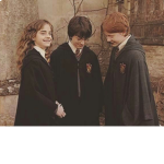 Harry Potter/DreamSMP fan club!<3