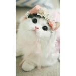 YjtgjjyyyUuyghjjjjkoppoi*
