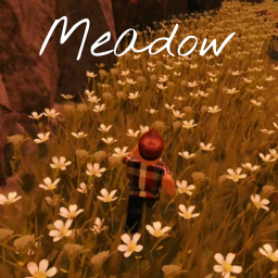 Meadow🌸