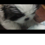 friends XD only LOL
