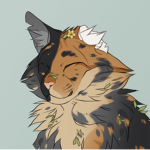 Furry Fury!