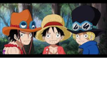 Study’s Group