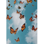 Val Butterfly’s