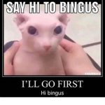 meme gang memes for diner
