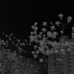 !1nk Group Thumbnail