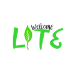 Lite Airlines RBLX