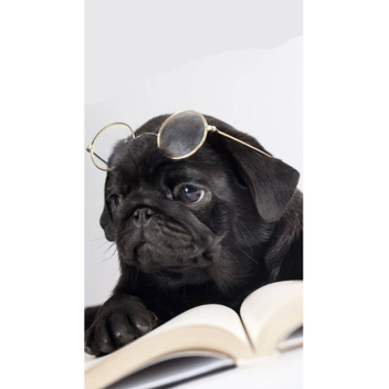 The full game (catalog in game)