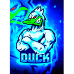 Ducks on the loose