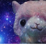 Fantastic Felines