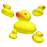 The__Ducks