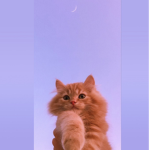 I’m an editor
