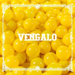 VengaIo