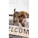 Heyyyyyyy!!!!!!!!!!!