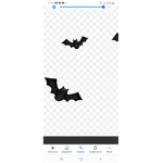 Bats reunited