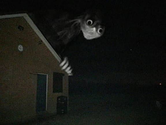 !trevor creatures! screenshot 2