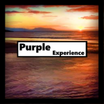 Purple Experience