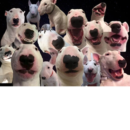 Dogs_Pardise Roblox group icon