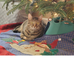 BOB CAT BREN
