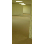 The backrooms entities group