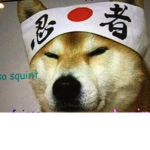 Doge's ninja dojo