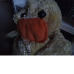 Duck fam is in ohio