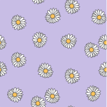 ~*Daisy's*~