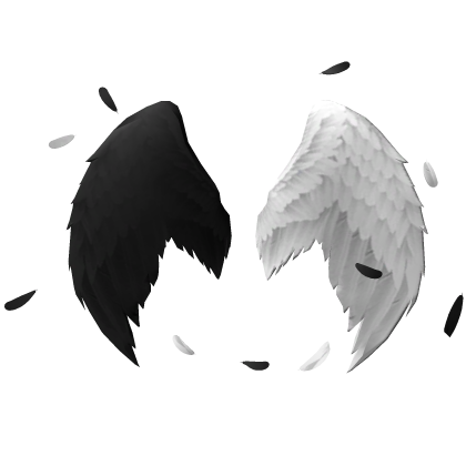 Black and white angel wings