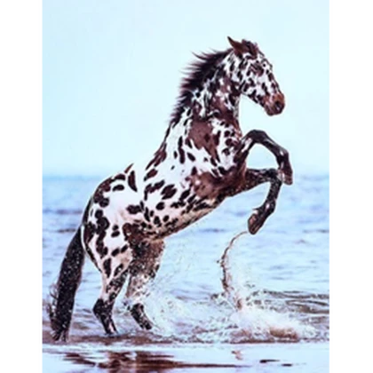 Hawk Wells Stables Roblox group icon
