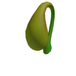 shadow