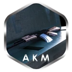 AKM ASSAULT RIFLE
