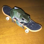 Skater frogs