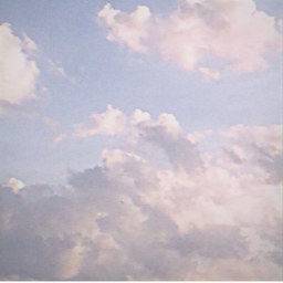 ✧