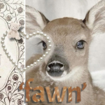‘fawn’