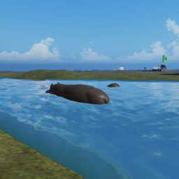Camp Hippopotamus