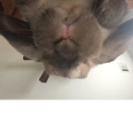 Hi bob I am Jeff