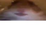 its the boysssssssssssssssssssssssssssssssssssssss