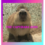 THE CAPYBARA KIDS