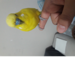PRO GAMER AHMET