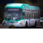 99-1번 버스