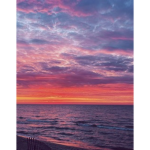 .⋆P1nK_sk1eS⋆.