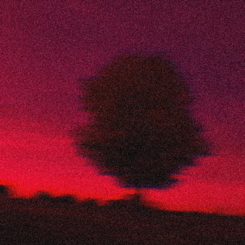 Apocalypse