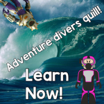Adventure Divers QUILL!