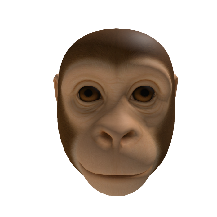 Monkey Head