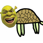 find the turtle todders