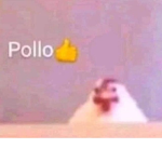 Grupo Gamer UwU