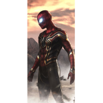 Iron spider man