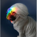 The Awesome Rainbow Unicorns.
