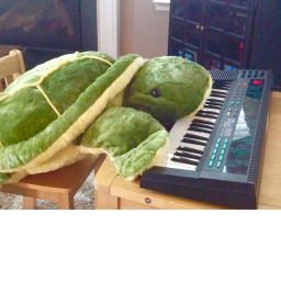 The Timmy Turtle Hang Out