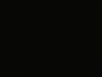 ねこねこ
