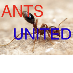 My ant’s Fan club
